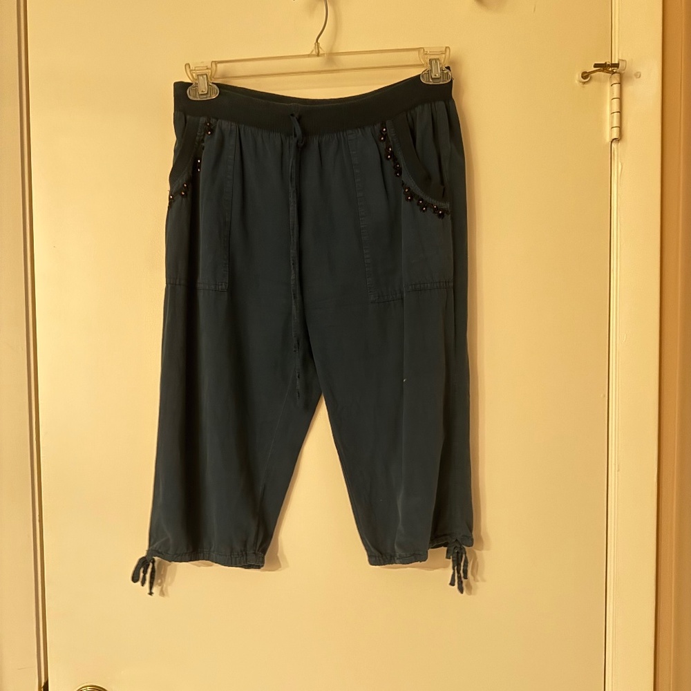 Pants Capris Teal Size 4 FL